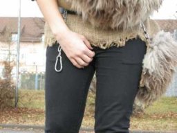 Archiv Foto &raquo; umzuege &raquo; 2008 &raquo; 05022008_Tettnang