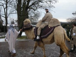 Archiv Foto &raquo; umzuege &raquo; 2009 &raquo; 21022009_Friedrichshafen