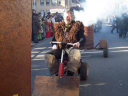 Archiv Foto &raquo; umzuege &raquo; 2012 &raquo; 15012012_Gruenkraut