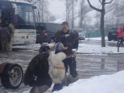 Archiv Foto &raquo; umzuege &raquo; 2015 &raquo; 17012015_Neuravensburg