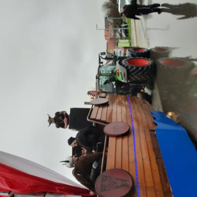 2023 01 15 Grunkraut 1